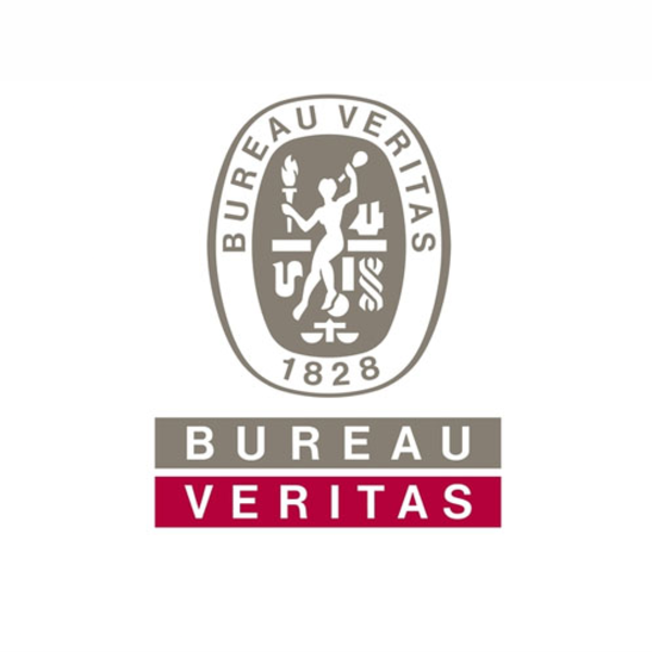 Bureau Veritas Partner logo