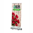Banner Roll Up 3 - RW.webp