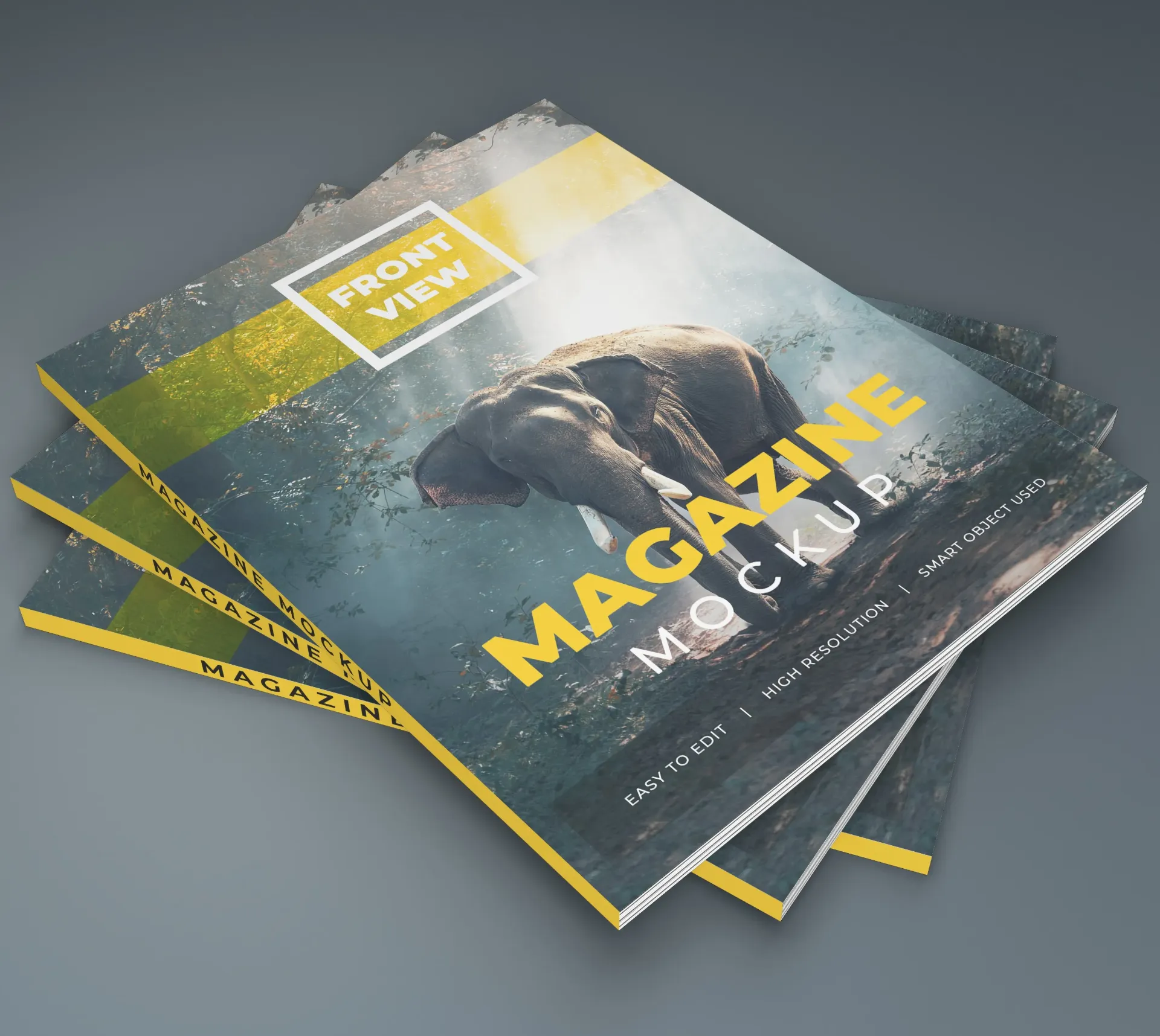 Revistas